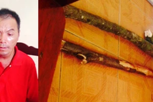 Cần tiền tiêu xài con trai đánh bố, mẹ đẻ tử vong