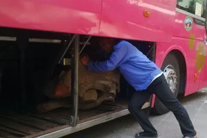 Liên tiếp bắt xe khách chở gỗ quý