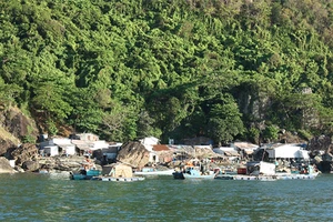 Chìm tàu cá hai người được cứu vớt