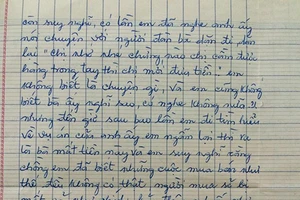 Vụ lừa mua, bán thiên thạch giả: Cay mắt khi đọc thư vợ bị cáo 