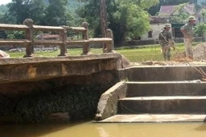 Đi giặt, phát hiện xác phụ nữ trôi trên kênh