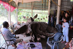 Độc đáo món ăn nấu từ lồ ô ở Tây Nguyên