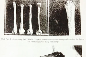 Phát hiện các dấu tích mới của trận chiến Bạch Đằng