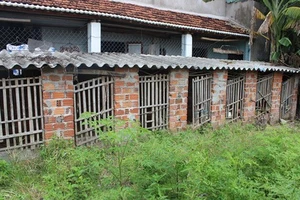 Phá trường gà quy mô lớn