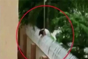 Vượt rào ký túc xá gặp bạn trai, nữ sinh bị điện giật chết