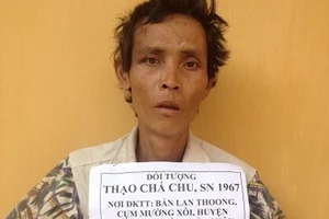 Bắt 2 vụ buôn ma túy lớn từ Lào về Việt Nam