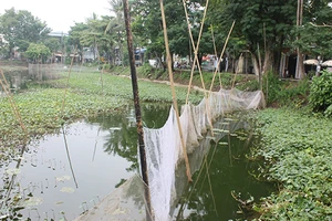 Những hồ đang 'chết' giữa lòng cố đô Huế