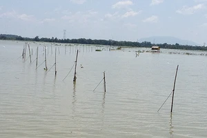 Phải dẹp xong đăng chắn hồ Trị An trong tháng 11