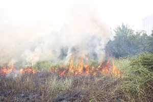 Cháy lớn tại bãi cỏ gần Keangnam