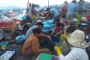 Khám phá nhịp sống làng chài giữa Vịnh Cam Ranh