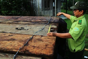 Giám đốc để xảy ra phá rừng bị luân chuyển