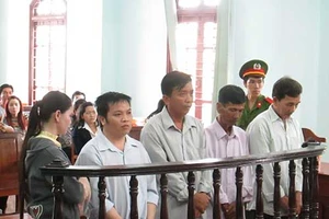 Giám đốc vẽ giấy, bán đất khống lãnh 30 năm tù