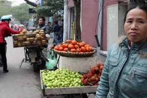 Hà Nội: Dừng xe mua hàng vỉa hè sẽ bị phạt