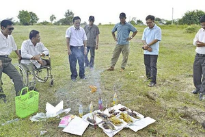 ​Hoa thanh thản ở Pailin