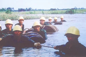 Các cột mốc lịch sử phát triển ngành điện TP.HCM