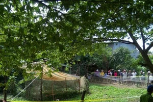 Đem dao vung gậy đập, một thanh niên 20 tuổi chết