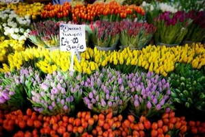 10 khu chợ có màu sắc cuốn hút nhất thế giới