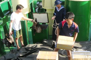 Đưa quà tết đến cán bộ, chiến sĩ ở vùng biển Tây Nam