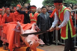 Lễ hội chém lợn: Lấy ý kiến cộng đồng đổi tên thành 'lễ rước' 