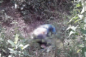 Phát hiện thi thể nữ sinh bị phân hủy trong rừng