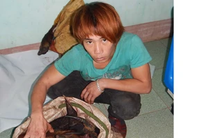 Bắt đối tượng săn Sơn Dương quý hiếm