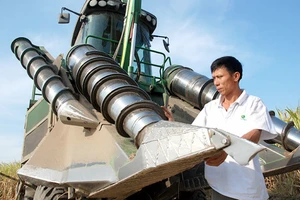 ​Anh nông dân trồng mía chịu chơi