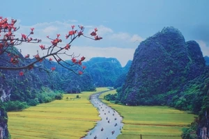 Ngắm những Di sản thế giới tại Việt Nam