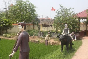 "Kho báu' đặc biệt của bà giáo già