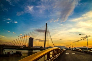 Hồ hởi với một bản án về bản quyền