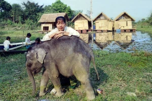 Đi tìm nữ chúa rừng xanh