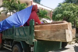 Hạt trưởng Hạt Kiểm lâm 'buôn' gỗ lậu