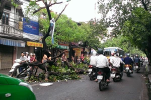 Giông lốc làm 2 người chết, 3 bị thương, gần 1300 cây xanh bị gãy đổ