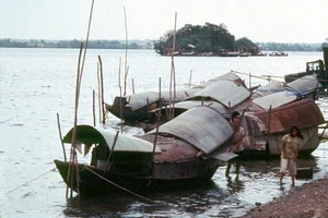 Bí ẩn Cù lao ‘biến mất’ trên sông Đồng Nai