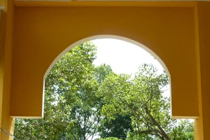 THPT Trưng Vương - ngôi trường cổ kính đầy thơ mộng