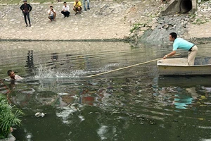 Clip bị truy bắt, người đàn ông nhảy xuống sông Tô Lịch