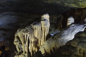 Những hình thù kỳ lạ ở động Thiên Đường