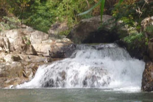 Bình Phước: Điều tra vụ mẹ bỏ con ở khe suối dẫn đến tử vong