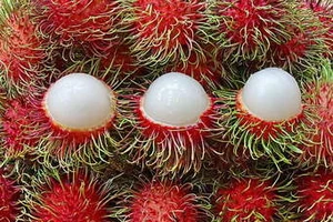 Bé gái 3 tuổi tử vong do hóc hạt chôm chôm