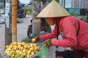 Thị thơm cô Tấm xuống phố