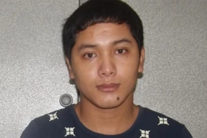 Phá chuyên án trộm cắp, làm giả giấy tờ xe 