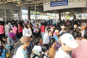 Hơn 500 bệnh nhân 'vật vạ' vì mạng bệnh viện gặp sự cố