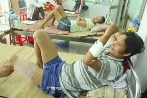 Thêm một nạn nhân nhập viện vì bị heo rừng tấn công