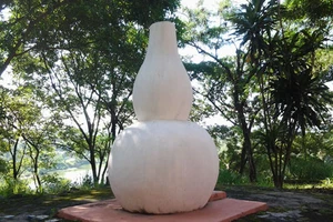 Bí ẩn những ngôi mộ kỳ lạ trên núi Bửu Long