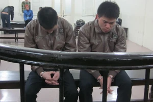 Vận chuyển ma túy thuê giá 2 triệu, lãnh án chung thân