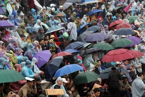 Người dân đội mưa xem hội chọi trâu truyền thống