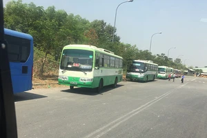 TP.HCM: Chuyển đổi mạnh sang dùng xe buýt nhiên liệu sạch CNG