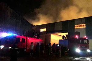 Cháy kho mì thiệt hại gần 20 tỉ đồng