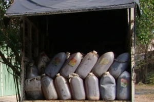 Bắt vụ vận chuyển hơn 6.000 lít dầu mỡ bẩn 