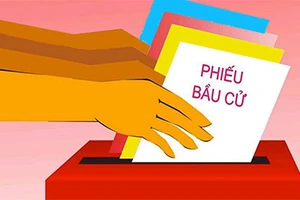 Cử tri các đơn vị quân đội huyện Lý Sơn đã hoàn thành bầu cử