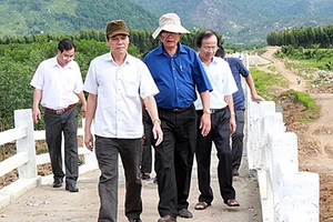 Kiểm tra cầu bê tông tiền tỉ bị mưa... xô ngã!